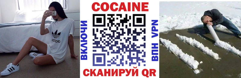 COCAIN FishScale  Купить закладки  Николаевск 