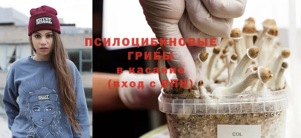 амфетамин Ельня